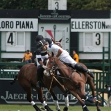 Polo, Commercial Wedding Photographers: Photoscience.co.uk